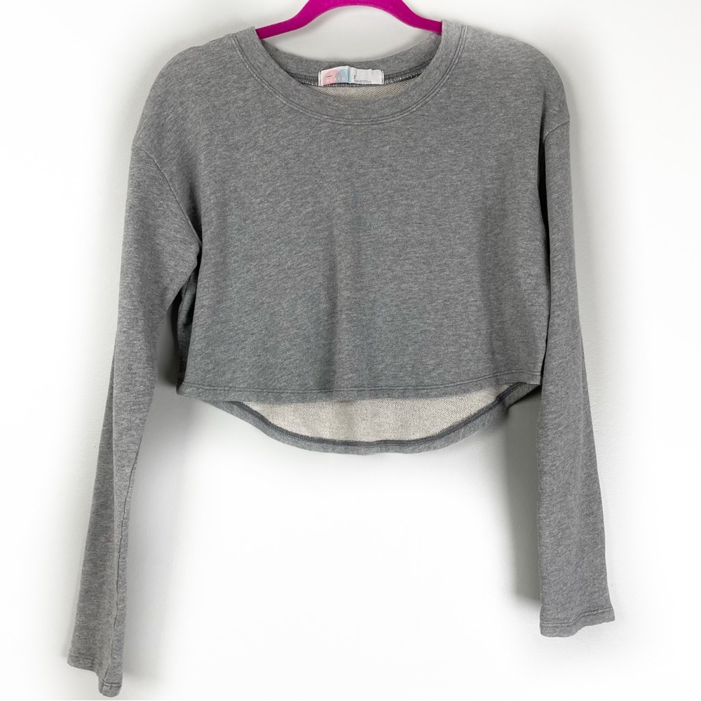 Free People Beach Gray Crop Sweater Top